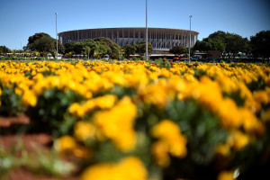 Canteiro próximo ao Estádio Nacional Mané Garrincha recebeu novas flores.