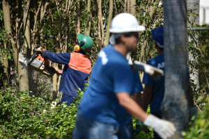 Equipes do governo de Brasília trabalham na desobstrução da orla do Lago Paranoá.