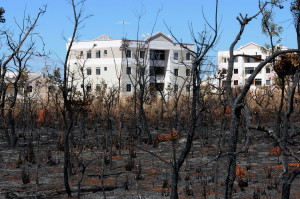 Para prevenir e mostrar como agir diante de episódios de queimada, como o que ocorreu no Jardins Mangueiral no domingo (24), o governo de Brasília vai intensificar campanhas publicitárias de conscientização.