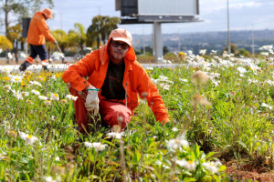 Rosie Otacilio da Conceição Melo, dedica-se aos jardins e parques do Distrito Federal há 35 anos.