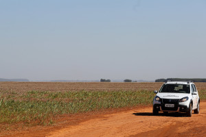 Técnicos da Secretaria da Agricultura fiscalizam lavouras de soja para garantir o cumprimento do vazio.