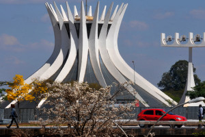 Chegou a época em que os ipês-amarelos e os ipês-brancos florescem ao mesmo tempo no Distrito Federal.