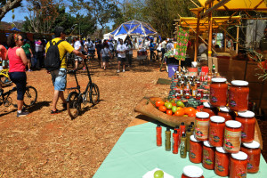 Atividades da Virada do Cerrado incluíram feira de produtos do Cerrado.