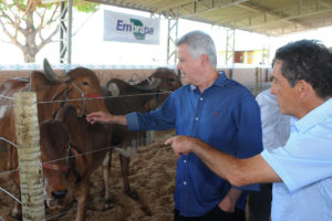 O governador de Brasília, Rodrigo Rollemberg, participou da cerimônia de abertura nesta quarta-feira (26), no Parque de Exposições Agropecuárias da Granja do Torto.