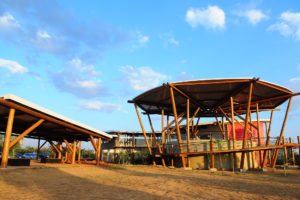 O Centro de Excelência do Cerrado — Cerratenses, no Jardim Botânico de Brasília