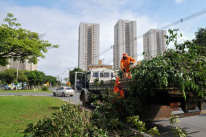 Foram duas semanas de força-tarefa, com poda de árvores, renovação de jardins, fechamento de buracos nas pistas e retirada de lixo, entre outras atividades.