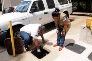 Equipe da Diretoria de Vigilância Ambiental, da secretaria de Saúde, faz inspeção na Asa Norte.