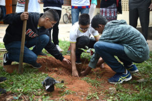 Plantio é uma das 51 ações do Controladoria na Escola, iniciado na unidade em junho. Alunos apresentaram resultados do programa nesta segunda (7).