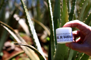 Gel de Babosa, produzido na Farmácia Viva da Secretaria de Saúde.