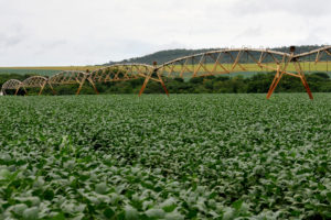 Em tempos de restrição hídrica, o correto manejo da irrigação nas propriedades rurais pode melhorar o aproveitamento da água e também a produtividade das culturas.