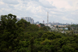 A retirada de ocupações irregulares do Parque Ecológico Ezechias Heringer e da Reserva Biológica (Rebio) do Guará tem o objetivo de proteger a biodiversidade desses locais.