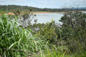 Reserva Biológica do Descoberto. Foto: Andre Borges/Agência Brasília