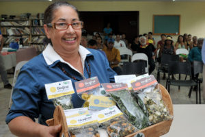 Depois de 12 anos de estudos, Norma Siqueira foi reconhecida por programa da Secretaria de Agricultura.