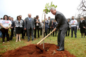 O Parque Bosque dos Tribunais recebeu, nesta quarta-feira (8), 700 mudas de árvores nativas do Cerrado.Plantio contou com a participação do governador Rodrigo Rollemberg.