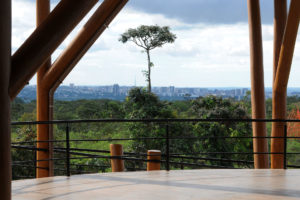 Espaço fica perto da BR-251 e abriga uma das áreas da Reserva da Biosfera do Cerrado no DF, que inclui a Estação Ecológica Jardim Botânico de Brasília