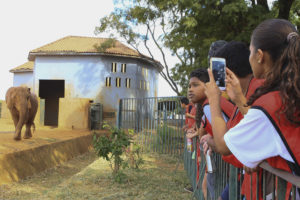 Alunos de natação do Centro Olímpico de Brazlândia conheceram o Jardim Zoológico de Brasília nesta sexta-feira (28), pelo projeto Dia Ambiental.