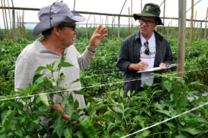 O agricultor Maurício Rezende recebe orientações do extencionista rural da Emater, Carlos Banci