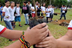 Projeto Parque Educador é retomado no Três Meninas, em Samambaia.