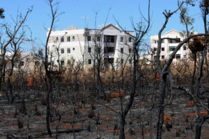 Incêndio em mata na região do Jardins Mangueiral aproximou-se de forma perigosa dos prédios.