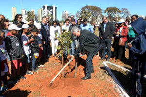 O governador Rodrigo Rollemberg plantou um dos 300 ipês-amarelos, que representam a paz no transito