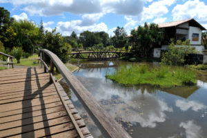 Programação do Jardim Botânico de Brasília no sábado (15) é aberta ao público e engloba atividades destinadas a incentivar a agricultura e o extrativismo de espécies nativas do bioma.