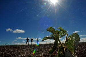 Até 30 de setembro, equipes da Secretaria da Agricultura, Abastecimento e Desenvolvimento Rural vão percorrer as 200 propriedades em todo o Distrito Federal.