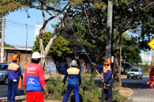 Programa Cidades Limpas chega a Feira Permanente da QNL 7 de Taguatinga na segunda-feira (28).