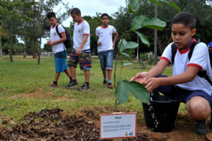 Professores da educação básica interessados em participar do projeto Parque Educador têm até sexta-feira (29) para se inscrever na seleção.