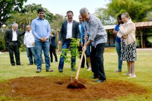 Espaço homenageia o servidor que chefiou por 30 anos o Departamento de Parques e Jardins da companhia. Rollemberg participou da cerimônia nesta sexta-feira (29) e plantou um pé de sapucaia.