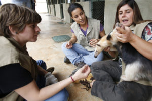 Victória Varela (camiseta preta), de 26 anos, veterinária, e Nicolle Dallape (camiseta roxa), de 31 anos, proprietária da Reserva Bacupari, recebem instruções sobre caso seja necessário atenderem a animais feridos no incêndio na Chapada dos Veadeiros.