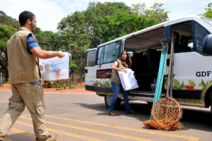 Equipe composta de veterinários, um biólogo e um auxiliar técnico leva também  medicamentos, kits cirúrgicos e vários equipamentos para o tratamento dos animais vítimas do incêndio na Chapada dos Veadeiros. Foto: Tony Winston/Agência Brasília