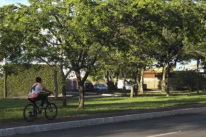 As atividades em comemoração aos 58 anos do Cruzeiro começam nesta quinta-feira (16) e vão até o fim de novembro.