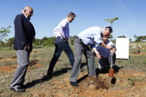 Com o plantio de árvores no canteiro central da península do Lago Norte, o programa Cidades Limpas chegou à região administrativa na manhã desta segunda-feira (13). O governador de Brasília, Rodrigo Rollemberg, ajudou a plantar a primeira espécie.