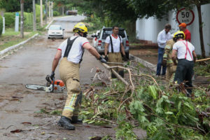 Desobstrução de vias, retirada de entulhos e remoção de árvores caídas estão entre as medidas tomadas pelo governo de Brasília para restabelecer a ordem após prejuízos causados pelo temporal da madrugada de ontem para hoje