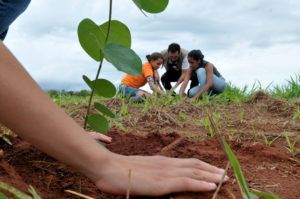 Estudantes de escolas púEstudantes de escolas públicas e privadas plantaram 1,2 mil mudas na Bacia do Pipiripau, em Planaltina.blicas e privadas plantaram 1,2 mil mudas na Bacia do Pipiripau, em Planaltina. Foto: Tony Winston/Agência Brasília