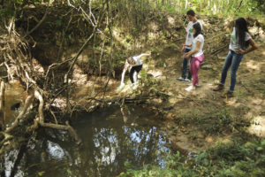 Projeto em defesa do Córrego Guará, do Centro de Ensino Médio Júlia Kubitschek, da Candangolândia, colabora com a preservação do meio ambiente na região próxima à escola. Foto: Pedro Ventura/Agência Brasília