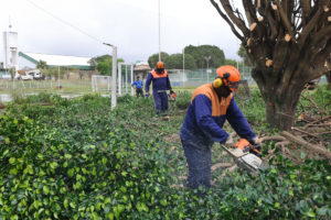 Em Ceilândia, por exemplo, aliado a cuidados como podas de árvores e roçagem, sistema de monitoramento de segurança contribuiu para reduzir registros de crimes.