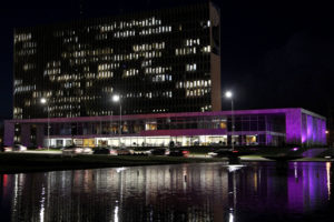 O Palácio do Buriti fica iluminado em roxo até o fim do mês em alusão ao Dia Mundial de Conscientização da Epilepsia.