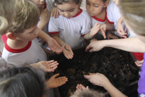 Os alunos participam de todo o processo de plantio, incluindo o cuidade com o minhocário, de onde sai o adubo da horta escolar. Foto: Toninho Tavares/Agência Brasília