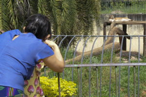 Zoológico de Brasília.