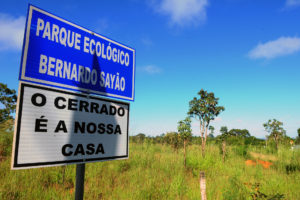 Promovida pelo Ibram, oficina de planejamento participativo sobre o Plano de Manejo do Parque Ecológico Bernardo Sayão irá coletar contribuições para o projeto de zoneamento do parque