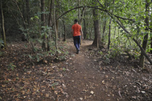 Trilha no Parque dos Jequitibás, em Sobradinho. Foto: Renato Araújo/Agência Brasília