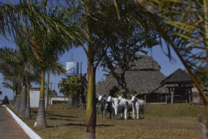 O governador Rollemberg assinou decreto que cria o Instituto Parque Granja do Torto.