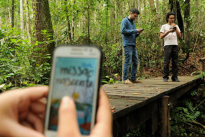 Plataforma para celular propõe experiência interativa dentro de trilha ecológica. Programa foi desenvolvido por alunos da Universidade de Brasília (UnB) e está disponível para sistema operacional Android