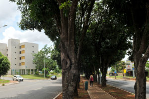 Eventos para todas as faixas etárias marcam a comemoração do 59º aniversário do Cruzeiro. A programação inclui literatura, esporte e apresentações musicais.