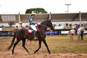 A abertura oficial do 32º Campeonato Brasileiro de Marcha Batida (CBM) ocorreu na tarde desta quinta-feira (15), no Parque Granja do Torto. A competição segue até sábado (17). O governador de Brasília, Rodrigo Rollemberg, participou da cerimônia.