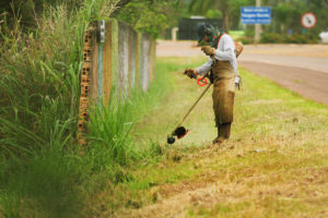 O programa Cidades Limpas está no Park Way com ações de combate à dengue. Desta segunda-feira (3), quando foi lançada a 53ª edição, a sexta-feira (7), a região receberá serviços como remoção de entulhos, tapa-buracos e podas de árvores.