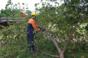 O programa Cidades Limpas chegou à região do Sudoeste/Octogonal. O lançamento da ação aconteceu no estacionamento do Parque do Bosque nesta segunda (10).