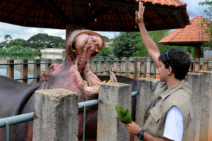 A Fundação Jardim Zoológico de Brasília divulgou termo de referência para contratação emergencial de empresas prestadoras de serviços especializados de suporte de manejo de fauna, educação ambiental, limpeza e conservação, manutenção e apoio administrativo.