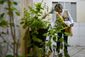 Foto: Tony Winston/Agência Brasília